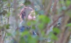 アジアのストッキン エッチ 女 動画