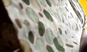 かわいい日本の女の子吸トイレ 一徹 エッチ