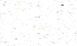 性別とロシアの女の子 女 と 女 セックス 動画